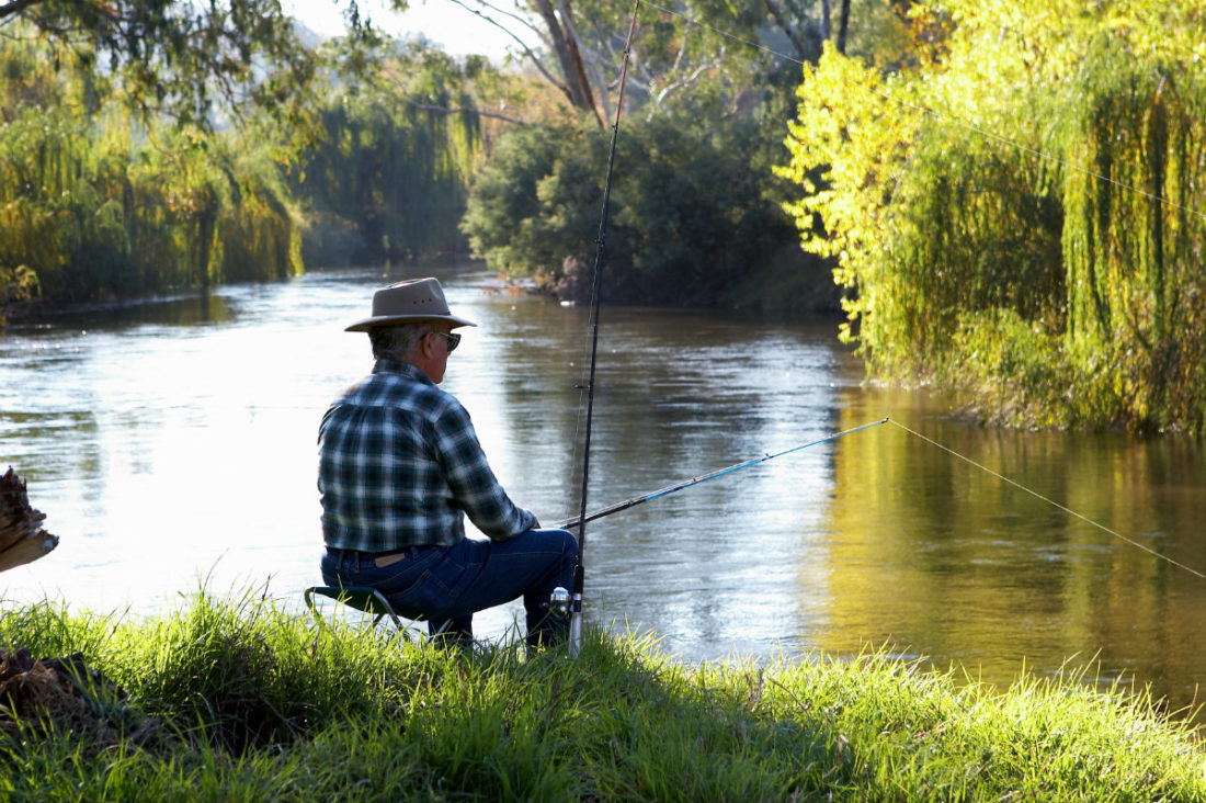 Upper Murray, Fishing