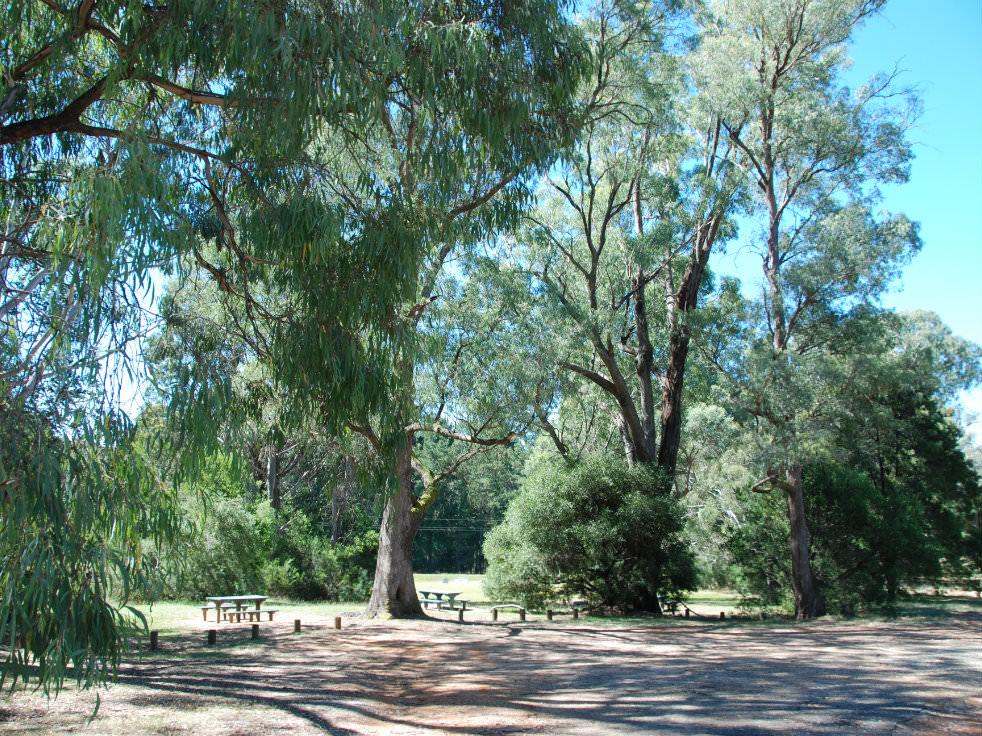Thomas Mitchell Reserve - Upper Murray